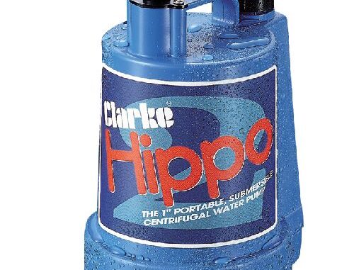 news_clarke_hippo