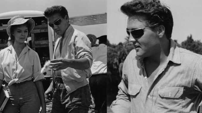 renauld-sunglasses_Elvis3