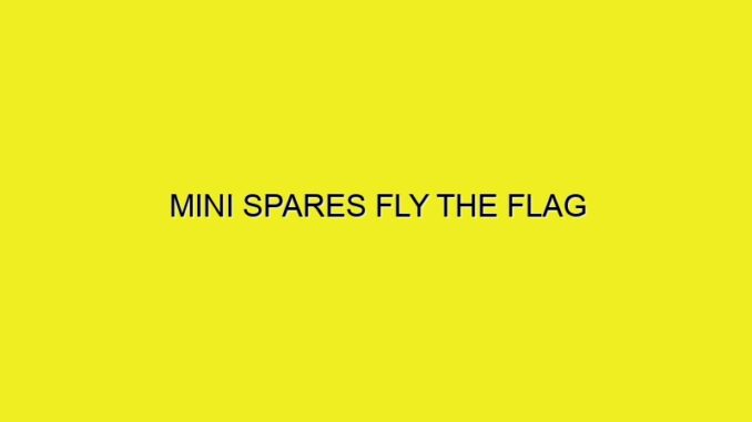MINI SPARES FLY THE FLAG